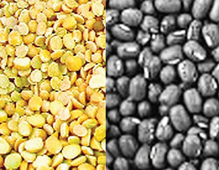 ஒழுங்குமுறை விற்பனைக் கூடங்களில் உளுந்து, பாசிப்பயறு கொள்முதல்