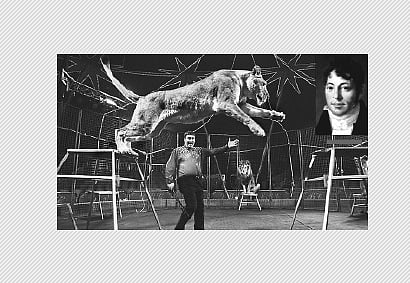 சர்க்கஸ்