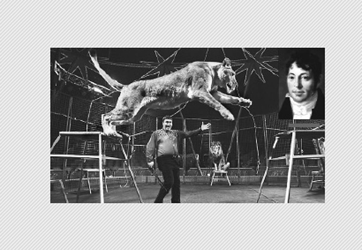 சர்க்கஸ்