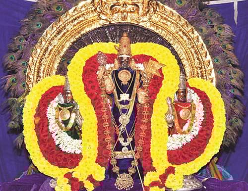 திருத்தணியில் படித்திருவிழா