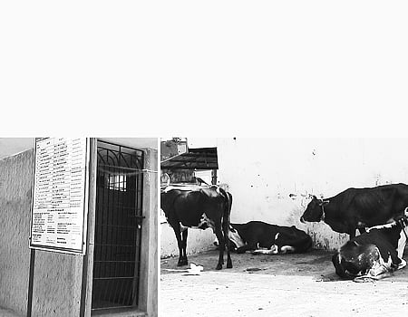 சுகாதாரச் சீர்கேட்டில் வில்லிவாக்கம் பஸ் நிலையம்