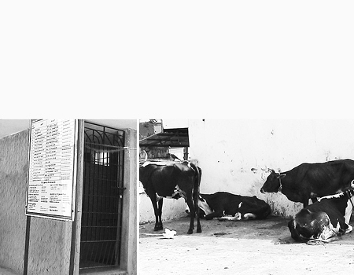 சுகாதாரச் சீர்கேட்டில் வில்லிவாக்கம் பஸ் நிலையம்