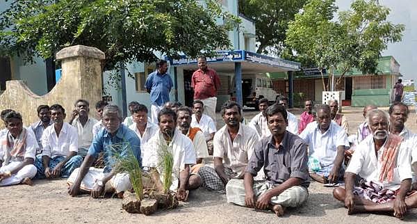 சிதம்பரம் பொதுப்பணித்துறை அலுவலகத்தை காய்ந்த நெற்பயிருடன் முற்றுகையிட்டு விவசாயிகள்