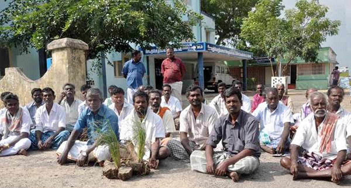 சிதம்பரம் பொதுப்பணித்துறை அலுவலகத்தை காய்ந்த நெற்பயிருடன் முற்றுகையிட்டு விவசாயிகள்