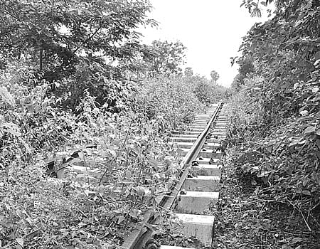 பொள்ளாச்சி - பாலக்காடு அகல ரயில்பாதை பணிகள் முடிவடைவது எப்போது?