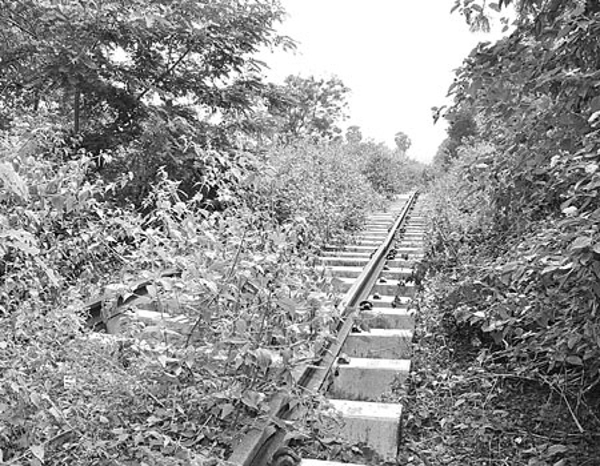 பொள்ளாச்சி - பாலக்காடு அகல ரயில்பாதை பணிகள் முடிவடைவது எப்போது?