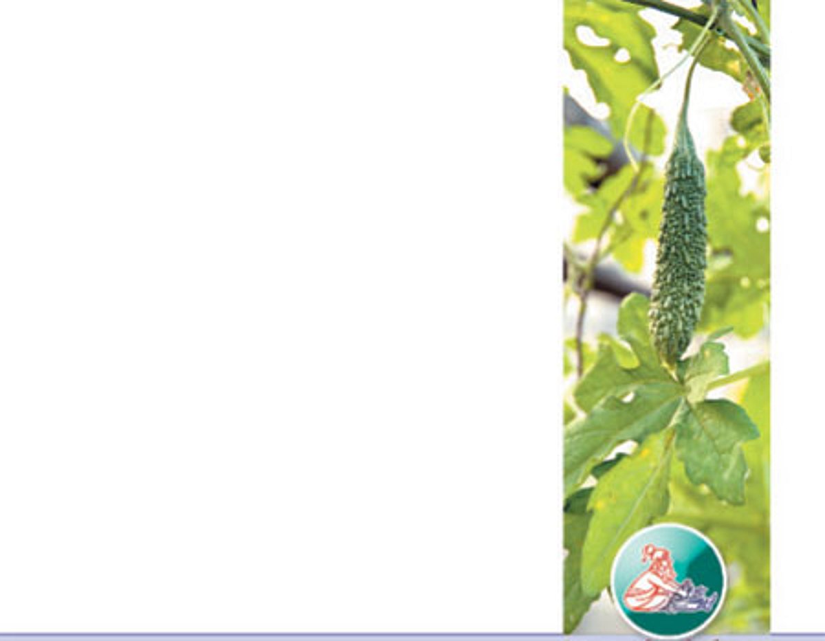 ஆயுள் காக்கும் ஆயுர்வேதம்: குடல் வீக்கம், தடிப்பு, வலி!