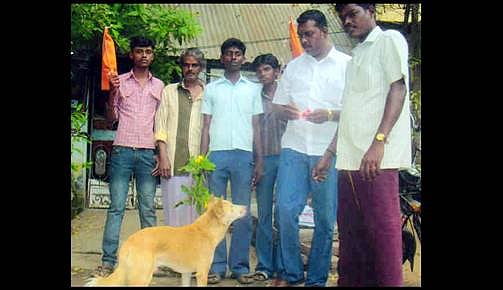 நாய்க்கு மலர் கொடுத்து காதலர் தின எதிர்ப்பு