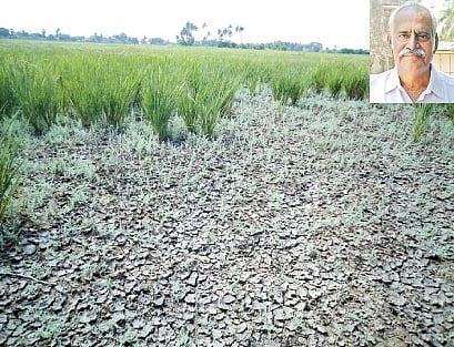 புறக்கணிக்கப்படும் காவிரி டெல்டா கடைமடைப் பகுதி