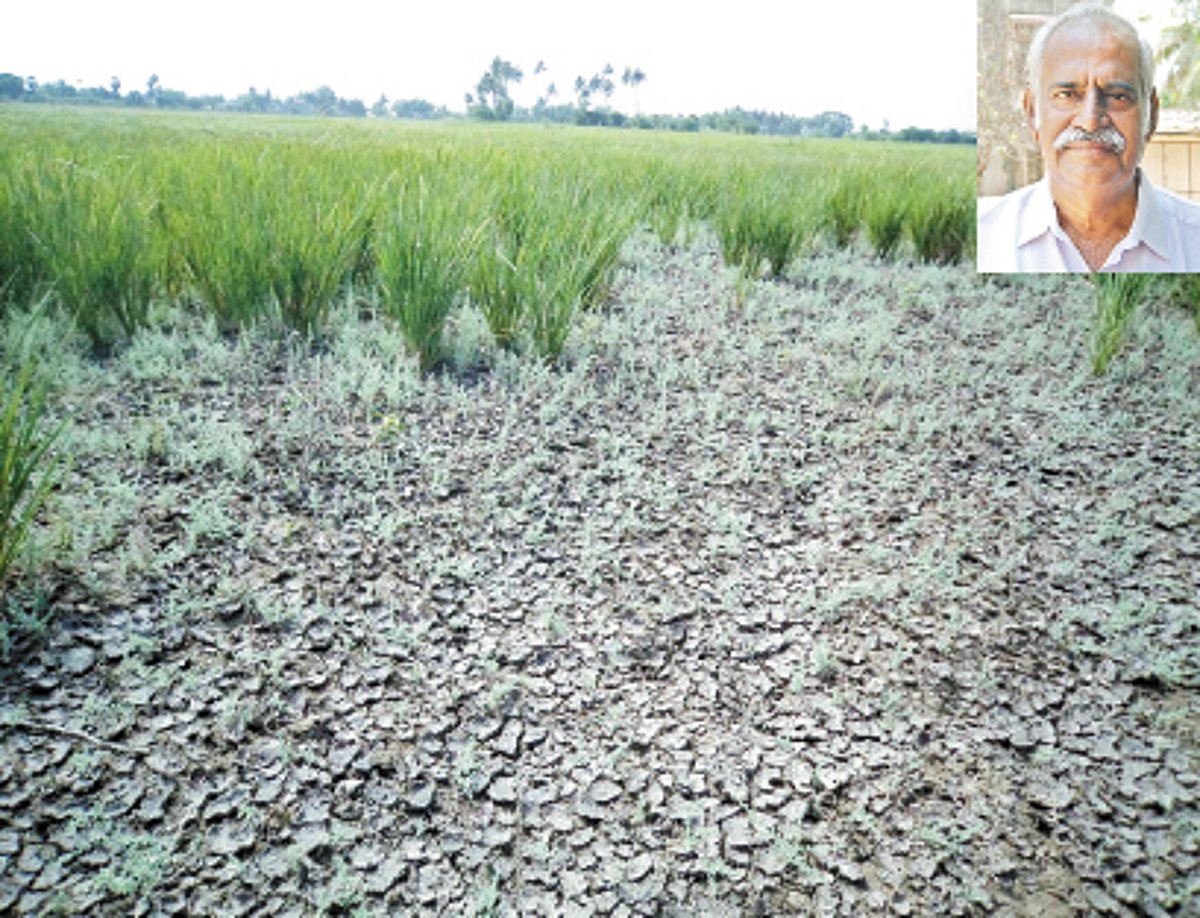 புறக்கணிக்கப்படும் காவிரி டெல்டா கடைமடைப் பகுதி