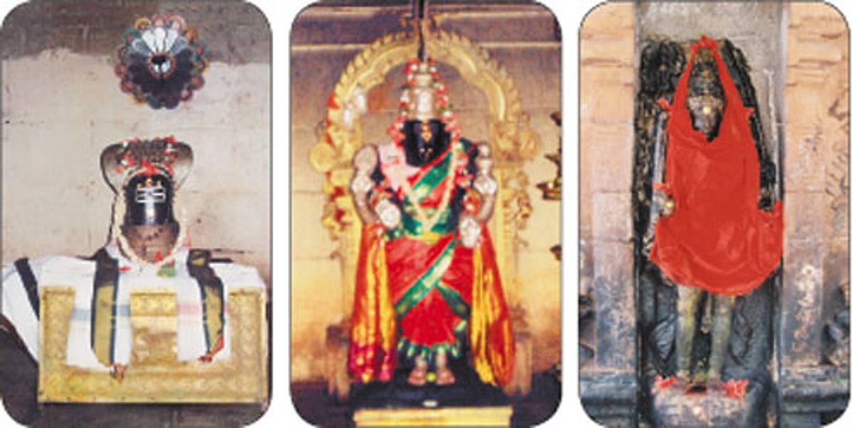 தை அமாவாசையில் தென்புலத்தார் வழிபாடு!