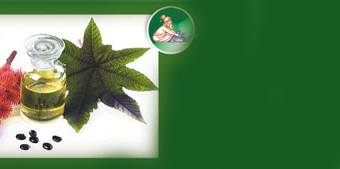 ஆயுள்காக்கும் ஆயுர்வேதம்: நரம்புகளில் அழுத்தம்... பாதங்களில் எரிச்சல்!