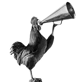 அதிகாலையில் எழுவோம்...