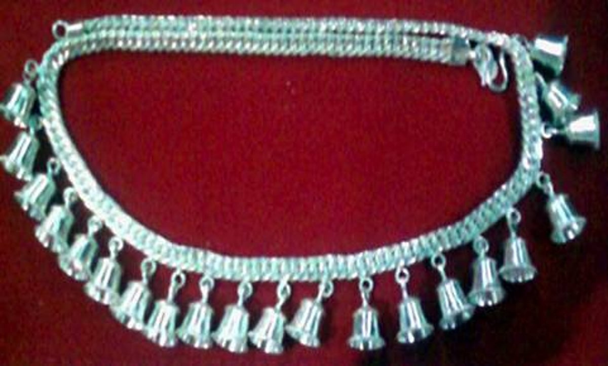 சிதம்பரம் ஸ்ரீநடராஜர்கோயில் நந்திக்கு வெள்ளிச் சங்கிலி காணிக்கை!