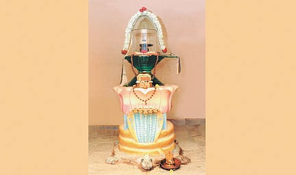 மருத்துவ குணத்துடன் மகேசன்!