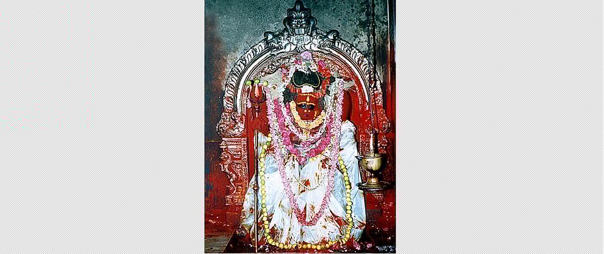 சிதம்பரம் தில்லைக்காளிக்கு மகாபிஷேகம்!