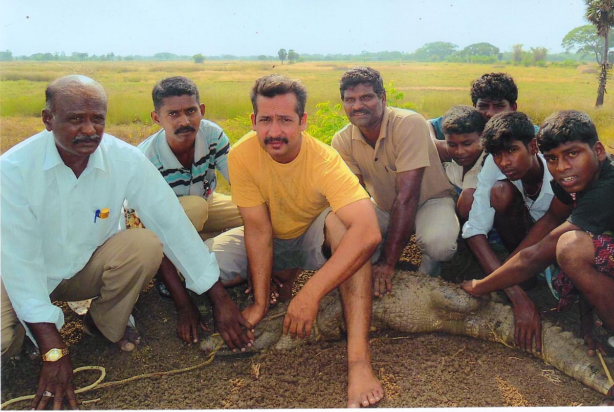 சிதம்பரம் அருகே கிணற்றில் விழுந்த முதலை மீட்பு