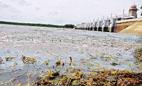 35% குறைந்தது சென்னை ஏரிகளின் நீர் இருப்பு: குடிநீர் தட்டுப்பாட்டை தவிர்க்க நடவடிக்கை