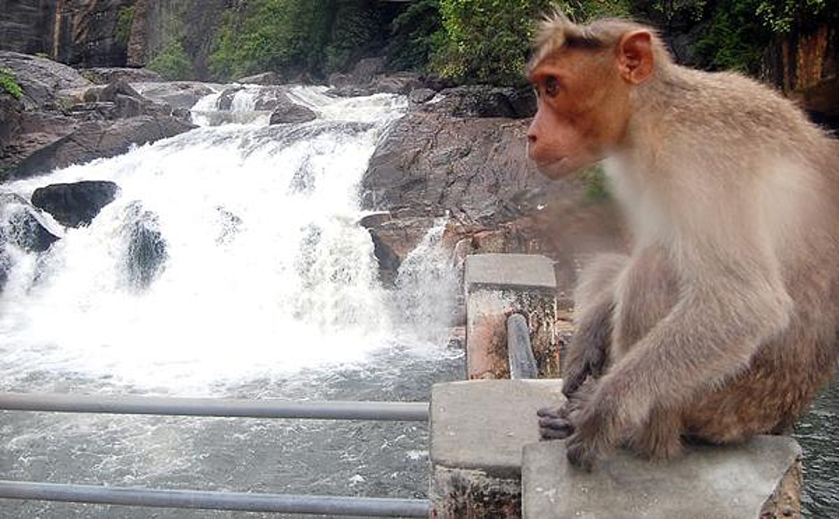 தொடர் மழை : அணைகளின் நீர்மட்ட நிலவரம்