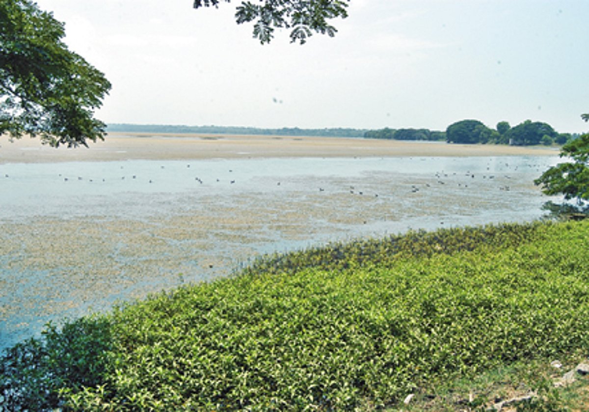 மீண்டும் அமலாகிறது ஏரிகள் புனரமைப்புத் திட்டம்