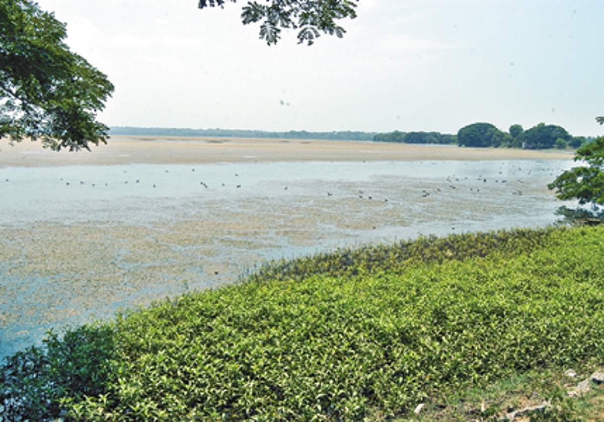 மீண்டும் அமலாகிறது ஏரிகள் புனரமைப்புத் திட்டம்