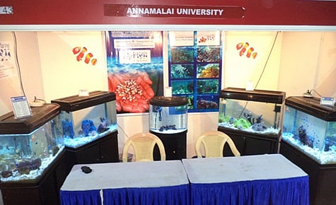 தமிழ்நாடு வண்ணமீன் திருவிழா கண்காட்சியில் அண்ணாமலைப் பல்கலைக்கு முதல் பரிசு