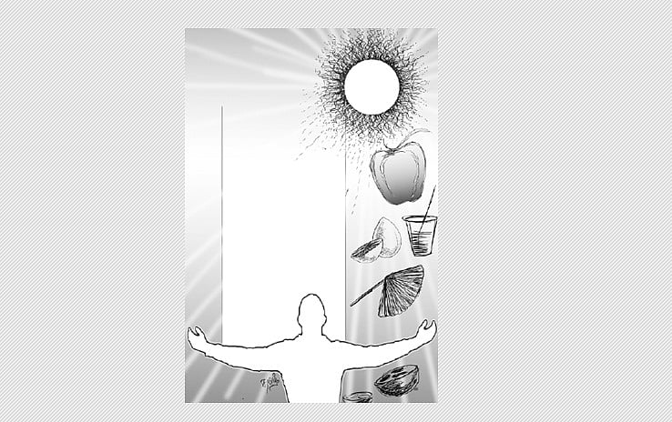 இயற்கையின் கொடை