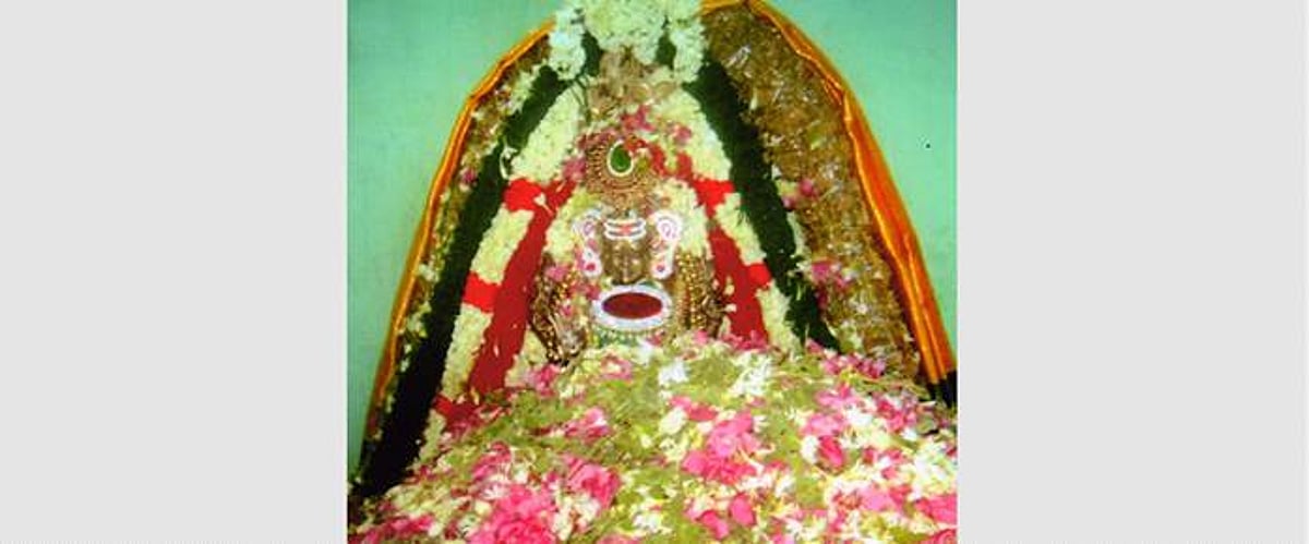 சிதம்பரத்தில் ஸ்ரீமகா தட்சிணாமூர்த்திக்கு லட்சார்ச்சனை!