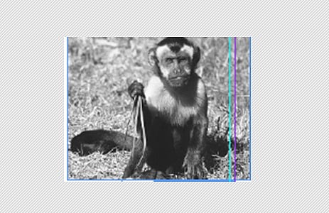 touch ஸ்க்ரீன்