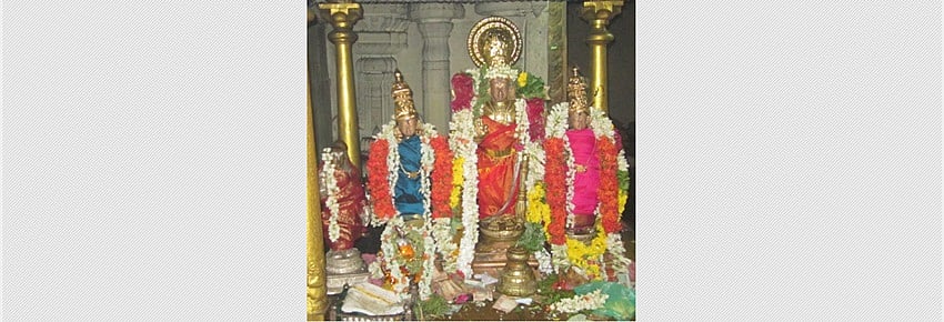 ஸ்ரீமுஷ்ணம் பூவராகசுவாமி கோயிலில் வராக ஜெயந்தி விழா!