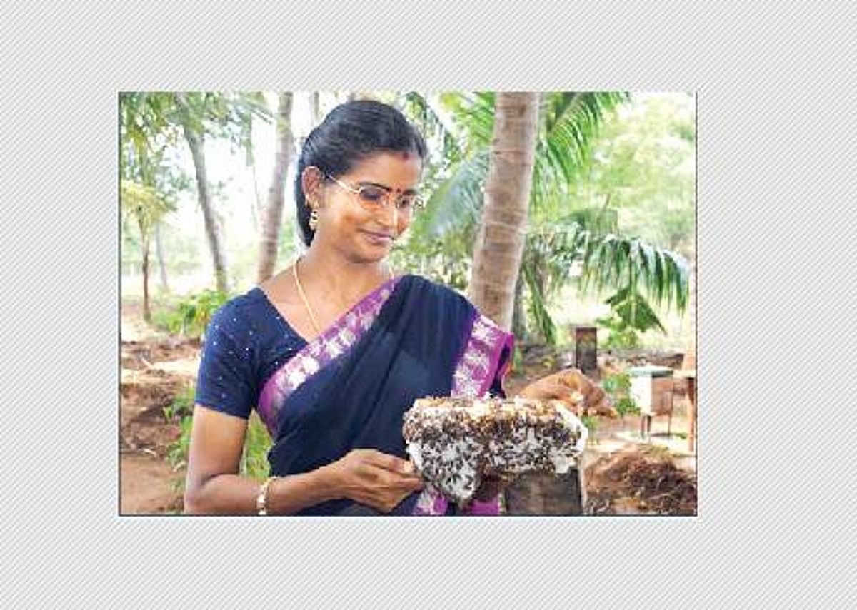 தேனில் இத்தனை வகைகளா?