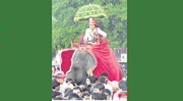 யானையில் மாப்பிள்ளை சவாரி!