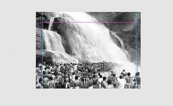 மேற்குத் தொடர்ச்சி மலை