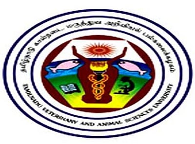 தமிழக அரசில் உதவி பேராசிரியர் வேலை: விண்ணப்பிக்க தகுதியானவர்கள் யார்?