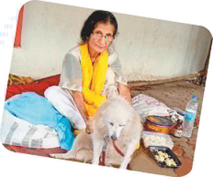 வேலை கிடைத்தால் போதும்!