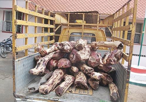 ஆரம்பாக்கத்தில் 1 டன் மதிப்புள்ள செம்மர கட்டைகள் பறிமுதல்