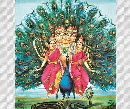 மயில் வாகனர்