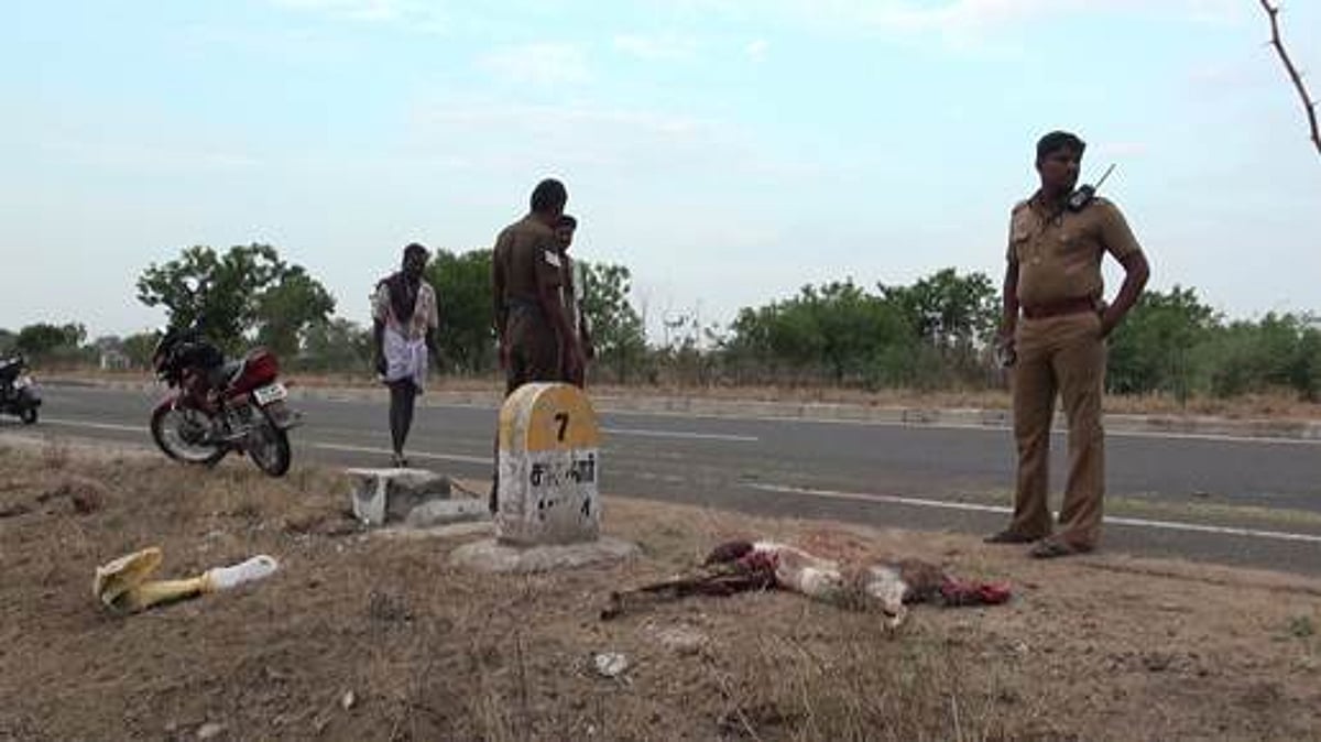 வாகன விபத்தில் 4 வயது பெண்மான் சாவு