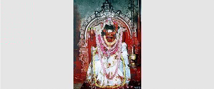 சிதம்பரம் தில்லைக்காளிக்கும் மகாபிஷேகம்!