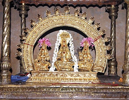 திருநாகேஸ்வரம் ராகுபகவானுக்கு ரூ. 3 லட்சத்தில் தங்கமுலாம் கவசம் 
