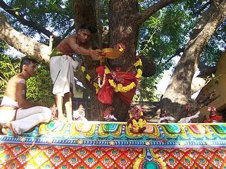சிதம்பரம் ஸ்ரீரத்தினபுரீஸ்வரர் கோயில் குடமுழுக்கு கோலாகலம்