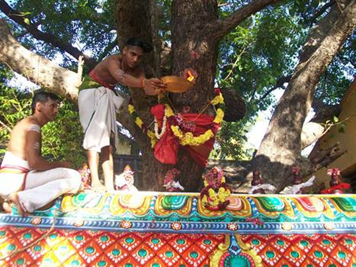 சிதம்பரம் ஸ்ரீரத்தினபுரீஸ்வரர் கோயில் குடமுழுக்கு கோலாகலம்