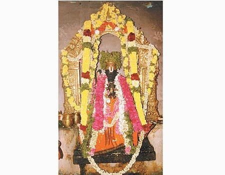 ராமானுஜர் கோயிலில் திருவாதிரை அபிஷேகம்