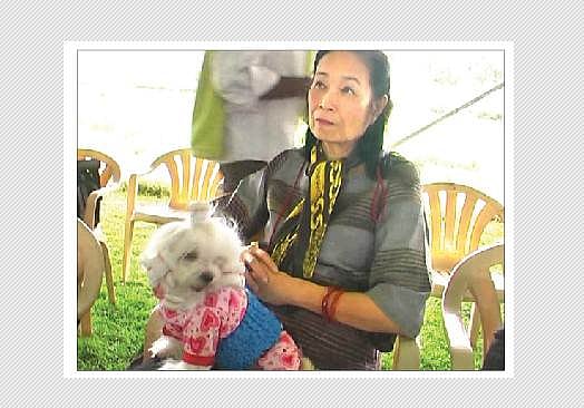 ஆசிய சாம்பியனான தாய்லாந்து நாய்!