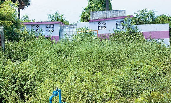 புதர்மண்டி கிடக்கும் மகளிர் சுகாதார வளாகம்