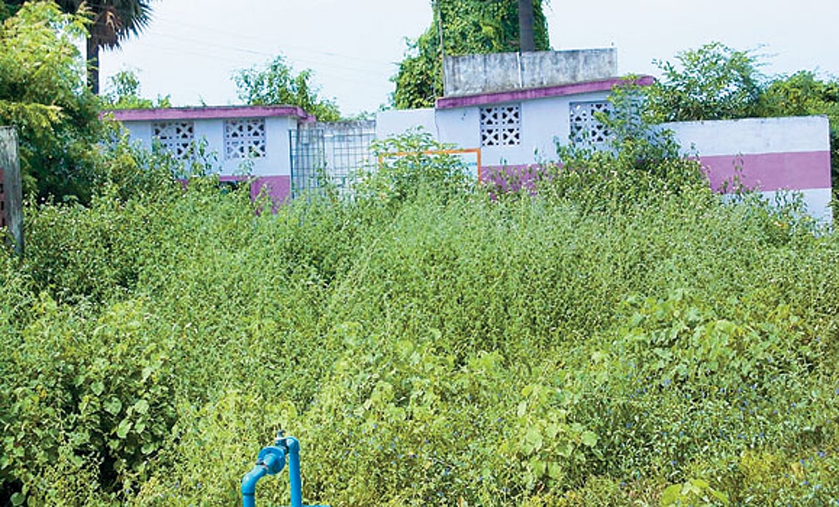 புதர்மண்டி கிடக்கும் மகளிர் சுகாதார வளாகம்