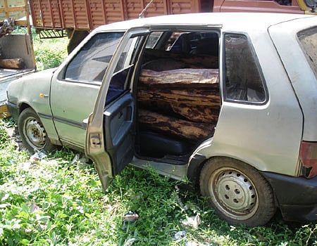 ஆரம்பாக்கத்தில் 1 டன் செம்மரம் பறிமுதல்: ஒருவர் கைது