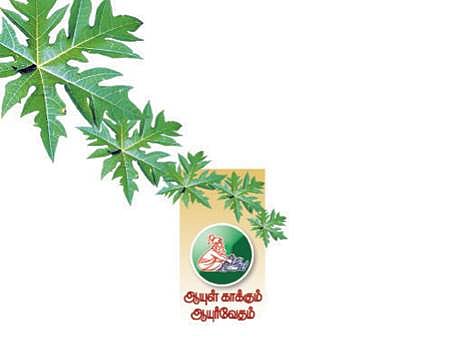 ஆயுள் காக்கும் ஆயுர்வேதம்: கால்களை ஆட்டலாமா?