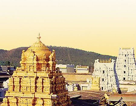 திருமலையில் உள்ள பாபவிநாசம் பகுதியில் உள்ள கடைகள் மூடல்