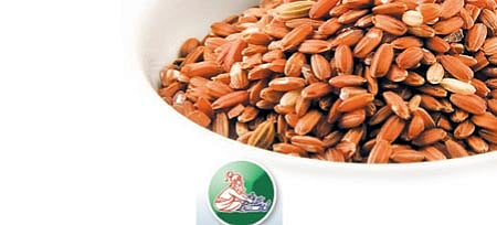 ஆயுள் காக்கும் ஆயுர்வேதம்: நுரையீரல் கிருமி நீங்க!